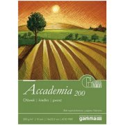 GAMMA BLOK ACCADEMIA 200G 22,5X32,5 200G 20 arkuszy