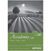 GAMMA ACCADEMIA 120G A3 50 ARK