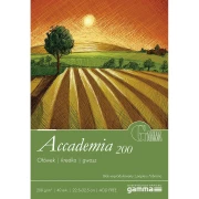 GAMMA BLOK ACCADEMIA 200G 22,5X32,5 200G 40 arkuszy