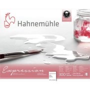 HAHNEMUHLE EXPRESSION 300g MATT 24x30cm 20ark 100% cotton