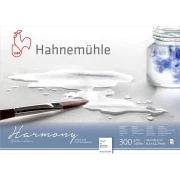 HAHNEMUHLE HARMONY 300g ROUGH 21x29,7cm