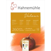 HAHNEMUHLE VELOUR Blok do pasteli 260g 30x40 cm 10 arkuszy kolor