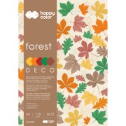 HAPPY COLOR BLOK DECO AUNTUMN/FOREST