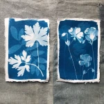 Jacquard Cyanotype Sensitizer Set - komplet