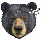 MADD CAPP Puzzle I am Bear 550 el.