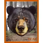 MADD CAPP Puzzle I am Bear 550 el.