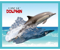 MADD CAPP Puzzle I am Dolphin 100 elementów