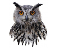 MADD CAPP Puzzle I am Owl 550 elementów