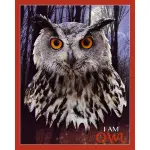 MADD CAPP Puzzle I am Owl 550 elementów