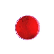 PIGMENT SUCHY 50G POMARAŃCZ