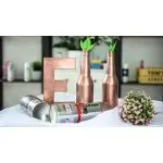 PINTYPLUS EVOLUTION 400ml Rose Gold