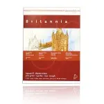 PAPIER DO AKWARELI BRITANNIA SATIN 300g 50x65cm