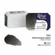 ROSA WATERCOLOR 1/1 747 BLACK GRAPPE