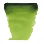 TALENS VAN GOGH WATER COLOUR PAN SAP GREEN